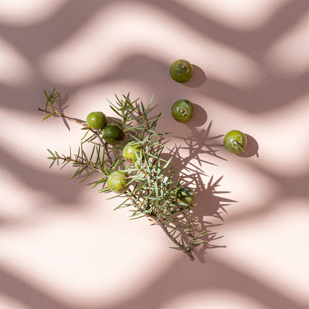 ボワ・ド・ジュネヴリエ リードディフューザー