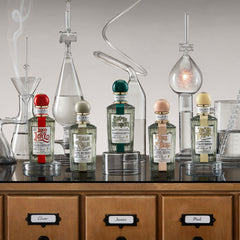 POTIONS & REMEDIES COLLECTION