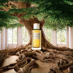 Un Samedi a Paris 05